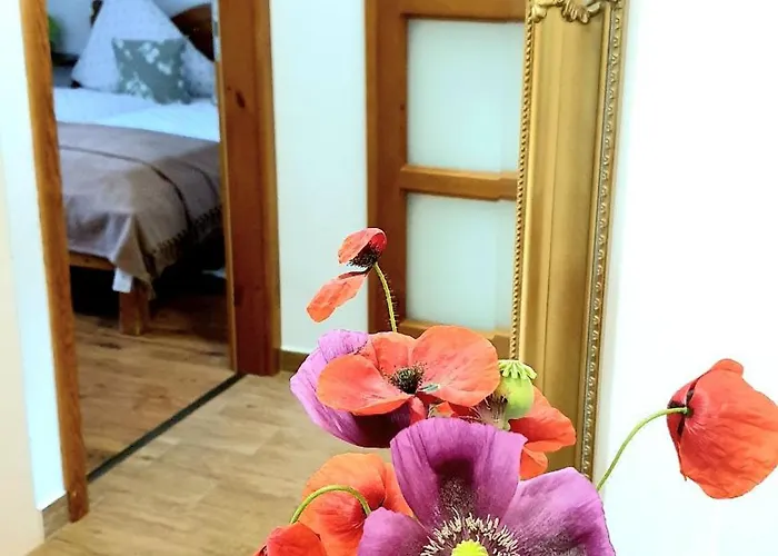Apartament Ori Bük